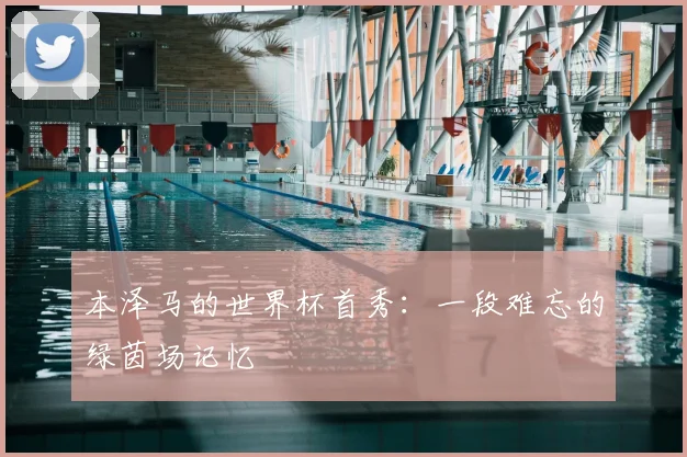 本泽马的世界杯首秀：一段难忘的绿茵场记忆