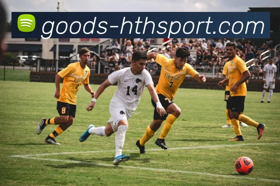 华体会APP 封面图